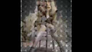 Candyland - Gwen Stefani