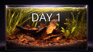 Blackwater Aquarium Setup with Botanicals | Natural Aquascape Build 