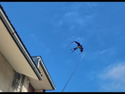 Відлякувач птахів КРУК, комплект з флагштоком на 5,5 м. від ворон, шпаків, бакланів, голубів - фото 1 - id-p1600212531