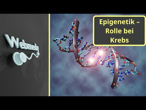 Epigenetik und ihre Rolle bei der Krebsentstehung und -behandlung