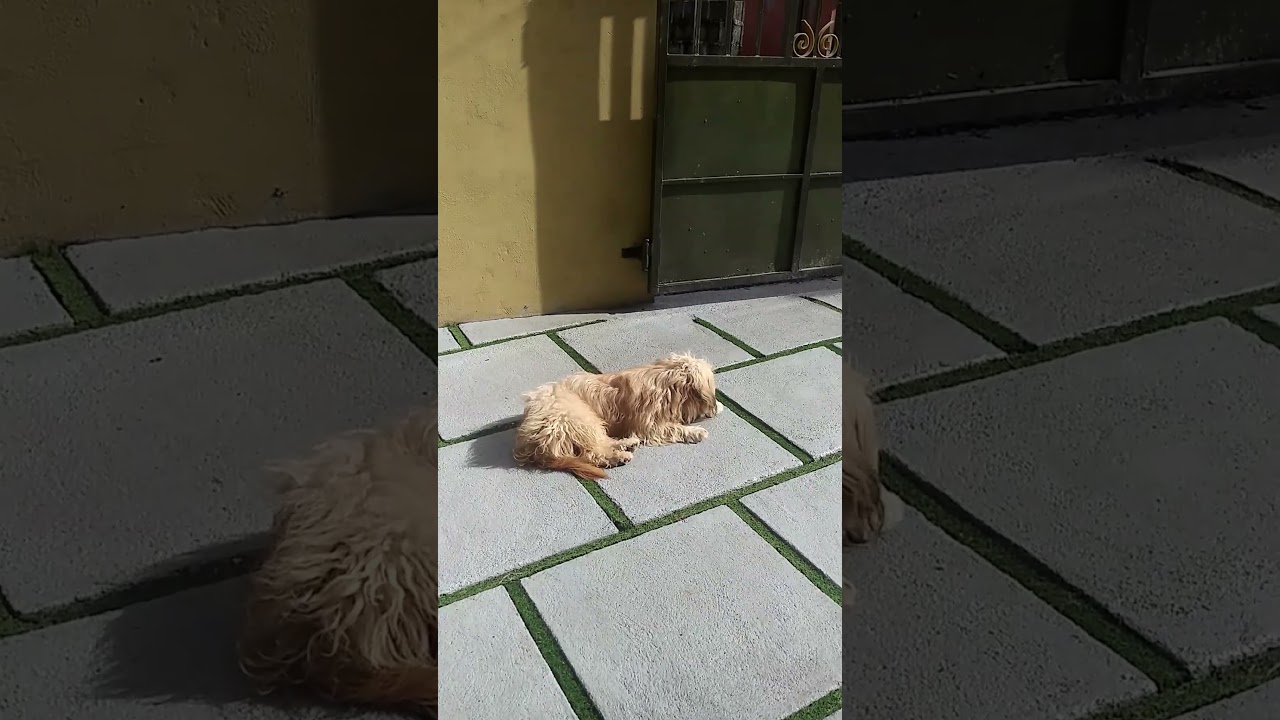 YouTube video preview