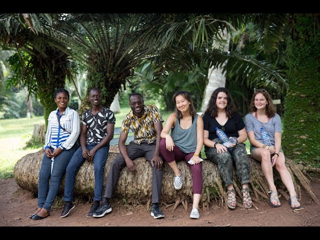 Pronúncia de vídeo de Opoku em Inglês