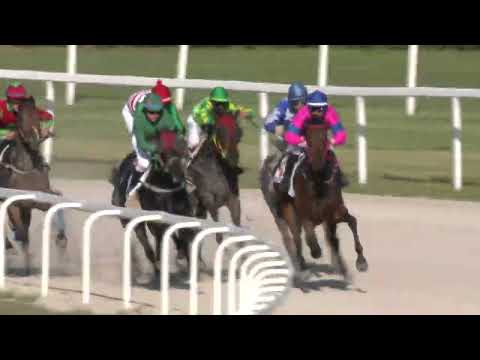 2022.06.04. 08. futam - PÜNKÖSDI HENDIKEP (V.o.) (szintetikus pálya)