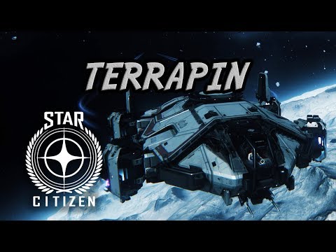 Star Citizen - Anvil Terrapin Review