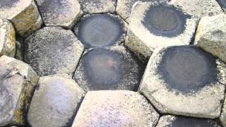 Mr. Somewhere - This Mortal Coil