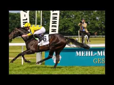 30. Mehl-Mühlens-Rennen