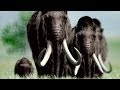 Catastrophe Episode 5 Survival Earth