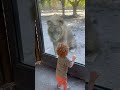 Leo Is Celebrating Heath S Second Birthday