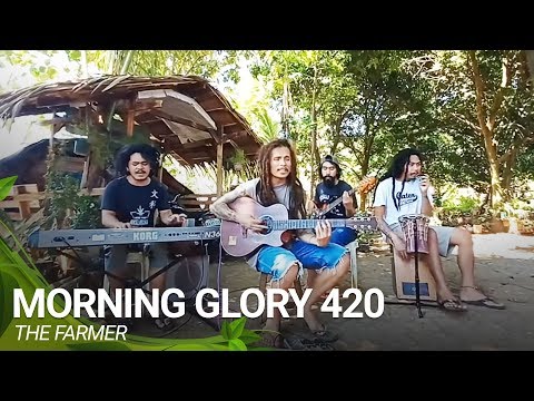 Morning Glory 420 | The Farmer (Original)