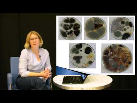 "Czy wiesz, jakie grzyby rosną w Twoim domu?": wykład, dr inż. Małgorzata Jeske