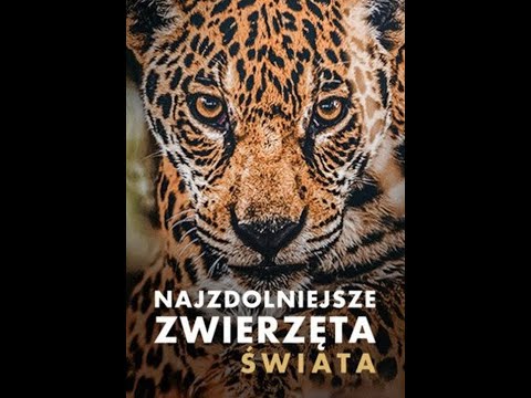 Najzdolniejsze Zwierzęta Świata Odc. 1