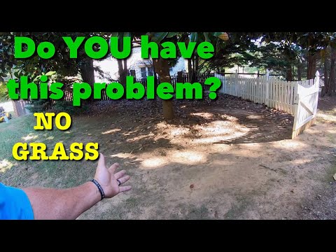 Grass will NOT grow // Simple FIX