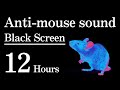 Anti Mouse Sound Black Screen Version Rest Easy With A Mouse Free Night 12 Hours