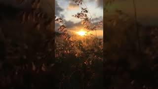 Download lagu Story WA Sunda Titp Ka Angin(Yayan Jatnika)😎 mp3 Download lagu Story WA Sunda Titp Ka Angin(Yayan Jatnika)😎 mp3