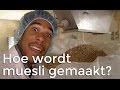 Hoe wordt muesli gemaakt? | Het Klokhuis