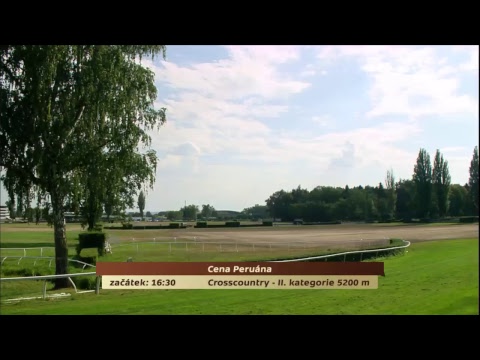 Dostihy Pardubice – živé vysílání