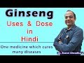 Ginseng Uses And Dose How To Use Ginseng Ginseng Medicine जिनसेंग के उपयो�