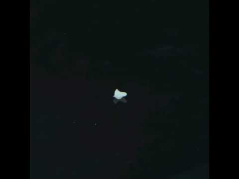 YouTube 썸네일