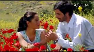 HONESTY -  BEYONCE - LYRICS - SUBTITULOS ESPAÑOL/ENGLISH