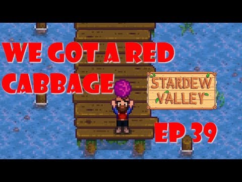 download lagu mp3 mp4 Red Cabbage Stardew, download lagu Red Cabbage Stardew gratis, unduh video klip Red Cabbage Stardew