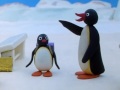 Pingu S02e02 Pingus Admirer