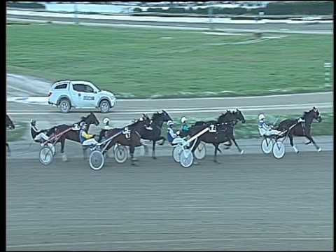 Trotto 07/10/2016 - 6ª corsa