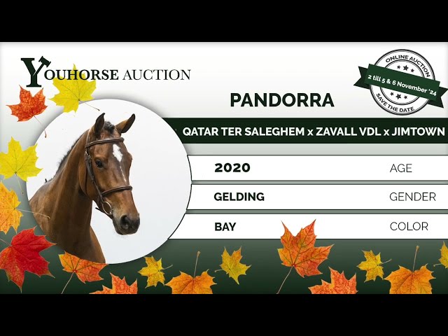 Pandorra showvideo