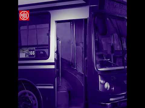 MILO J  - PARAISO ( DAÑA ELVIRA )