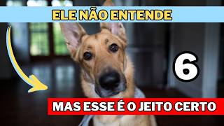 Seu cachorro NÃO TE IGNORA… Você Que fala ERRADO Com Ele