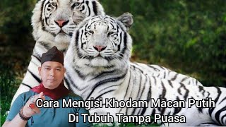 Download lagu cara mengisi khodam macan putih // di tubuh tanpa puasa // KI RAHMAT HR mp3