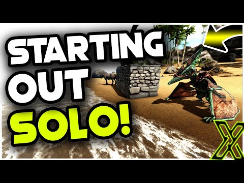 LIVE - ARK, maybe 100k? yes?