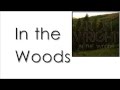 Aron Wright - In the Woods (Lyrics) 