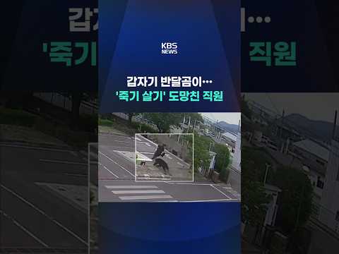 제철소 습격한 반달곰…CCTV 찍힌 긴박한 순간 #shorts / KBS