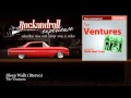 The Ventures - Sleep Walk - Stereo