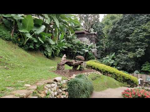 DoiTung Walk EP 1 Jardim Maefaluang