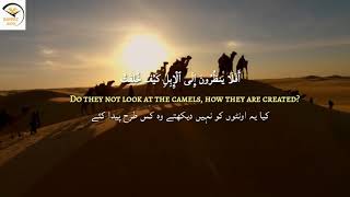 Download lagu Surah Al Ghashiyah 88:17-20  heart ❤️ soothing Qur'an recitation mp3