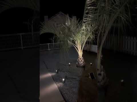 aménagement-jardin-de-rocaille-cloture-gabion