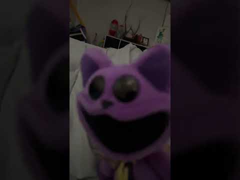 ￼ Doey telling cat nap he has bad breath