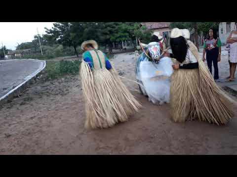 Reisado de Boa Hora Piauí 2019