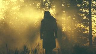 Thundercat - &#39;Where The Giants Roam / Field of the Nephilim&#39;