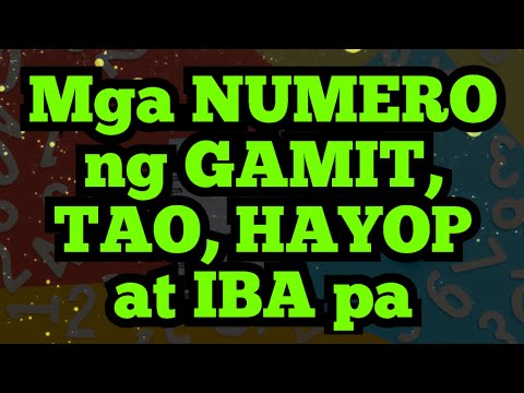 Mga NUMERO ng GAMIT, BAGAY, HAYOP, TAO at Iba pa | @DreamsMaster1818