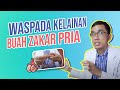 Mengenal Testis Pria Sehat
