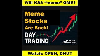 🔥From Reddit & WallStreetBets to Riches: The Meme Stock Phenomenon Explained - 1 Week After!