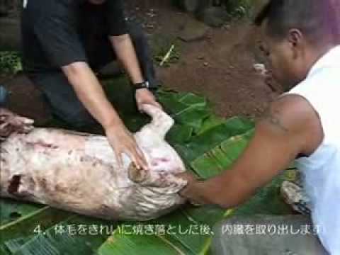 ミクロネシア伝統料理 ウム(Uhmw)の作り方 A Recipe for Traditional Rock Cookin