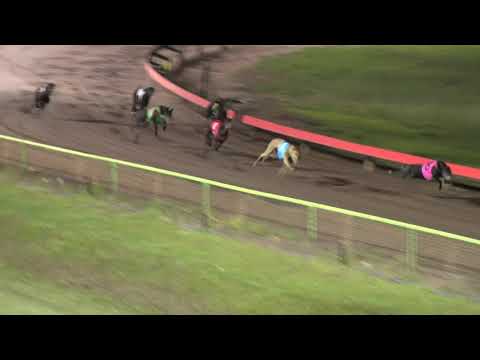 Darwin-28112021-Rennen-4