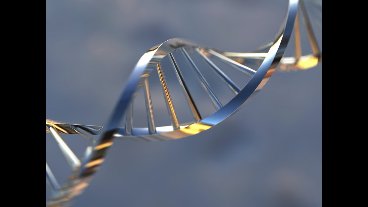 PTCA Balloon Catheter Market in China 2015-2019