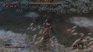 SEKIRO　打倒一心！！！！