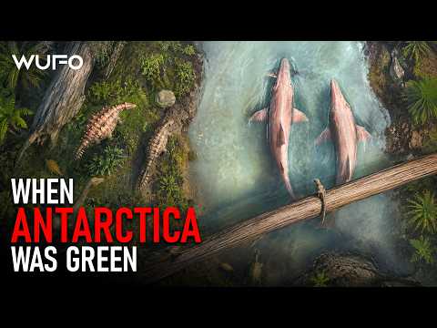 Prehistoric Antarctica: When the Frozen Continent Was a Green Jungle