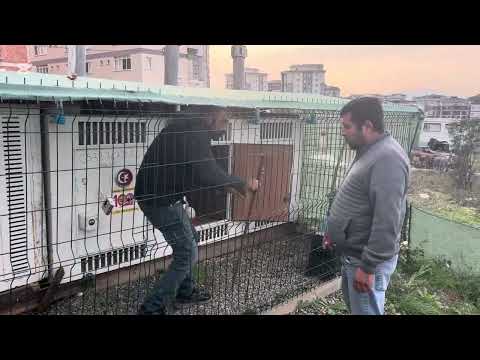 Halil yılmaz şefket tekir İDDALI kuşları