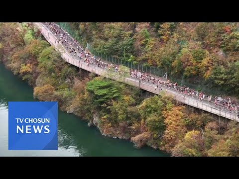 가을의 전설 [아침에 한 장][뉴스퍼레이드]